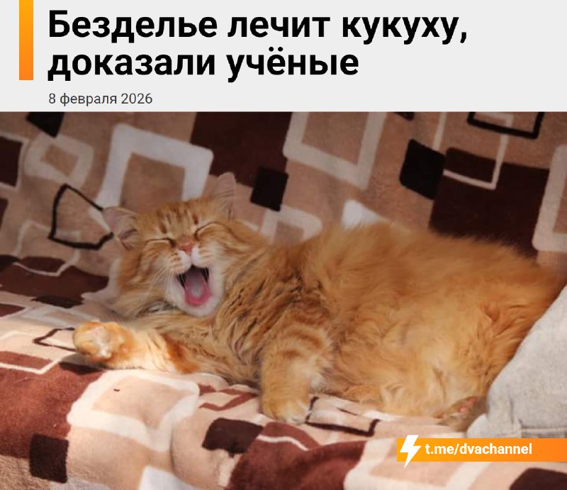 Учёные подтвердили, что безделье спасает психику
Чтобы не довести себя до выгорания, депрессии или