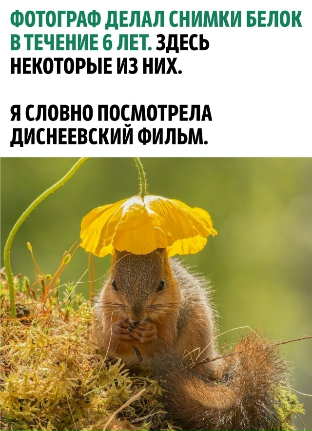 6 лет понадобилось фотографу, чтобы снять такие шикарн?...