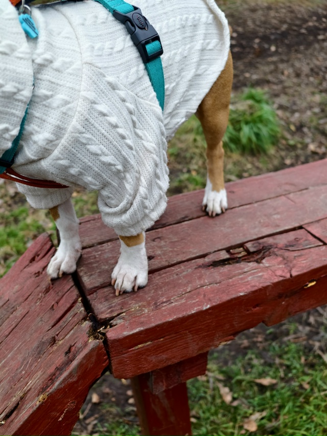 Прошу обратить внимание Администрацию Тульской облас?...