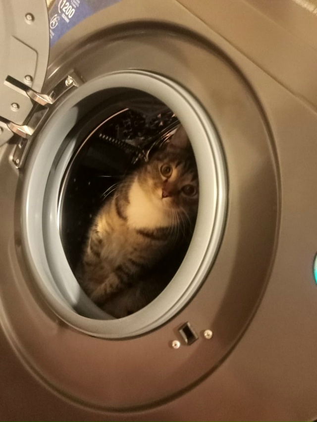 Я полетел на Марс🤣