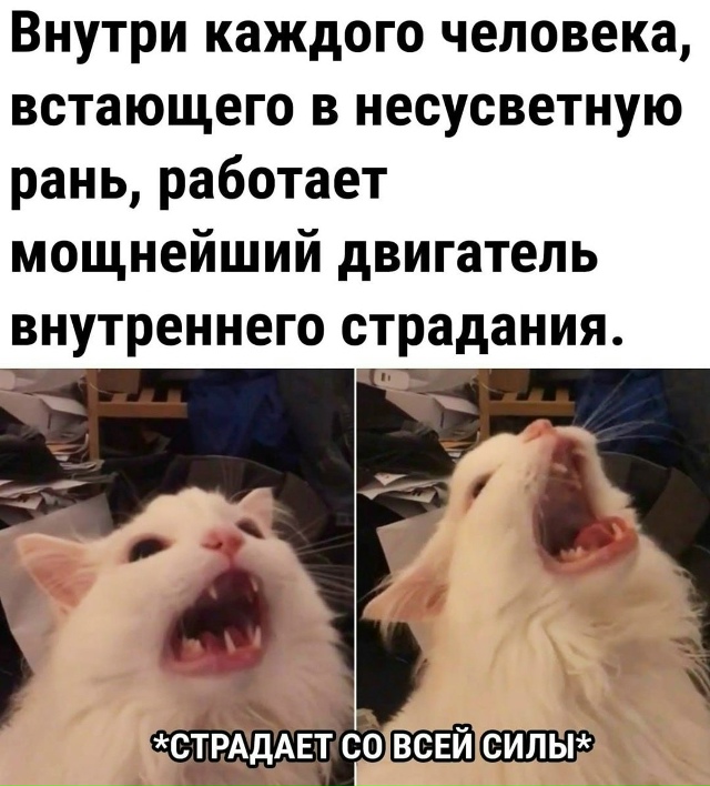 Особенно в субботу