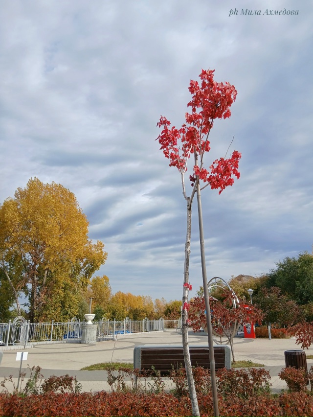 Несмотря на пасмурный октябрьский день четверга. ?
...