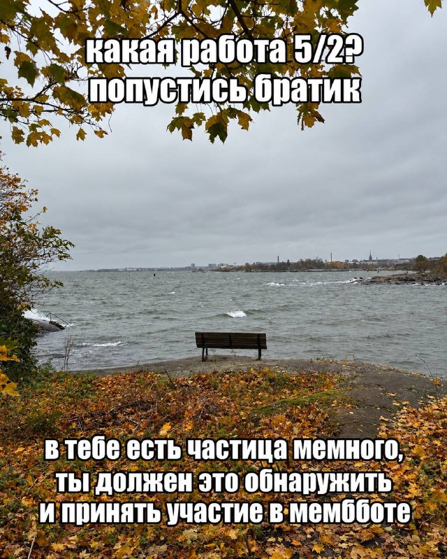 Мемббота, друзья. Вы знаете, что делать 👇