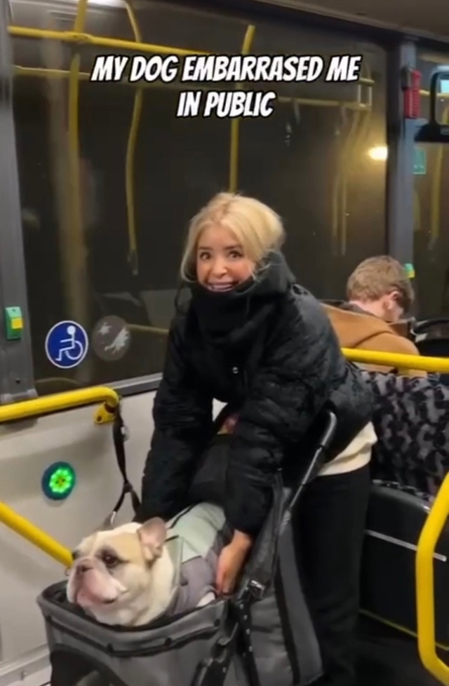 А на каком это языке разговаривает собака!
