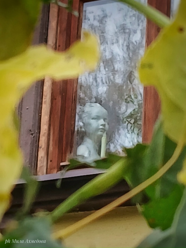 Красота в глазах смотрящего
Портпоселок 🍁🍂
Фотогра...