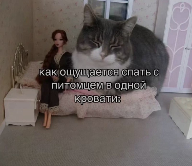 Ночная подборочка
Спать, режим