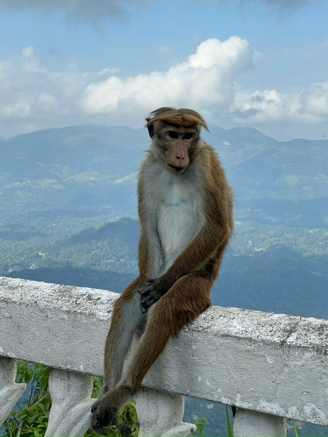 Все понятно