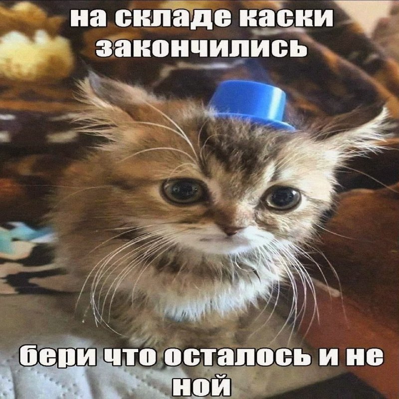 Утренняя подборочка