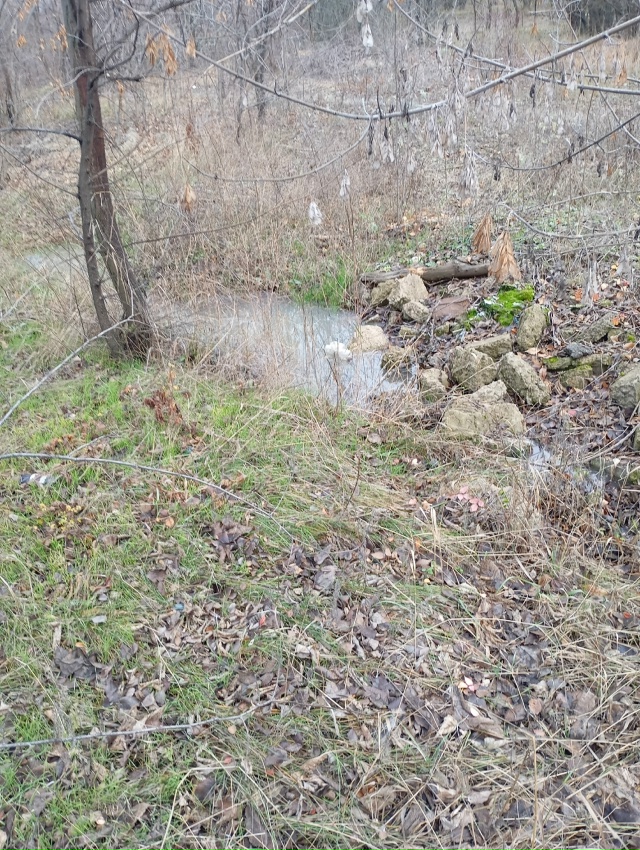 Обращение к администрации, в районе 5 дома с Дарьино за?...