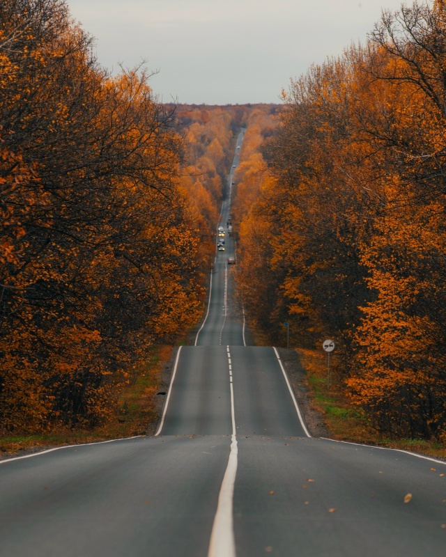 Дорога на Ширяево, Самарская Лука
Фото: [id3305323|Вадимммм...