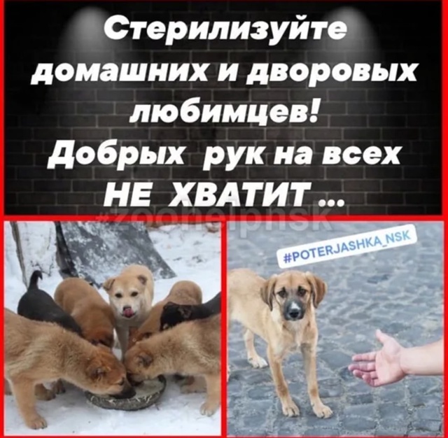 📣📣📣 [club223634676|Напоминаем жителям] нашего района, что 1...