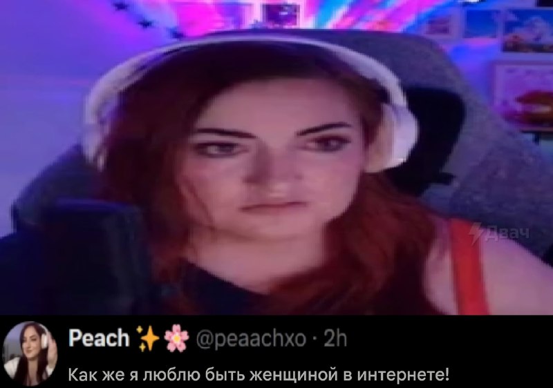 Произошёл вумен момент: стримерша написала заявление в полицию на парня за то, что он… дважды убил е