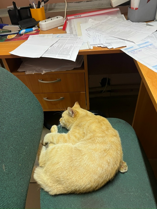 Склад никуда не денется