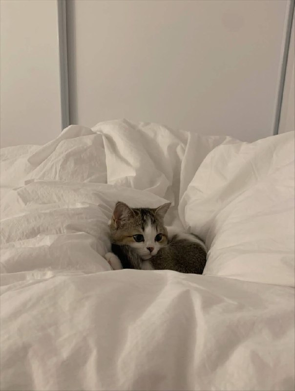 Ну идем уже споть, я же жду тибя в кроватке :3