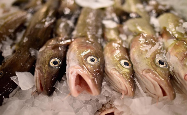 ⚡️ Правительство усилит контроль за ценами на рыбу
?...