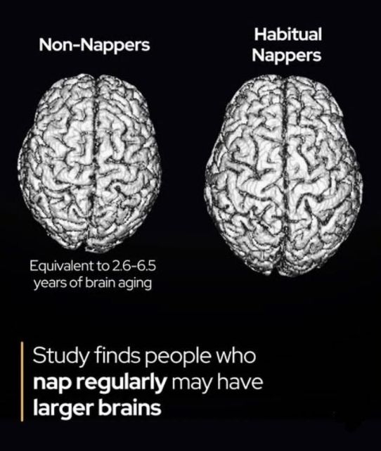😴 Учёные выяснили, что люди, которые дремлют днём, ста?...
