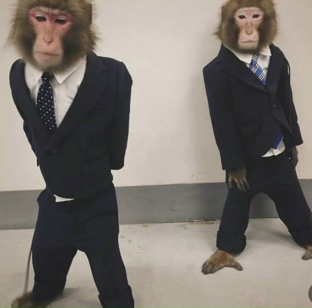 В окружении каждого найдется подобный приятель