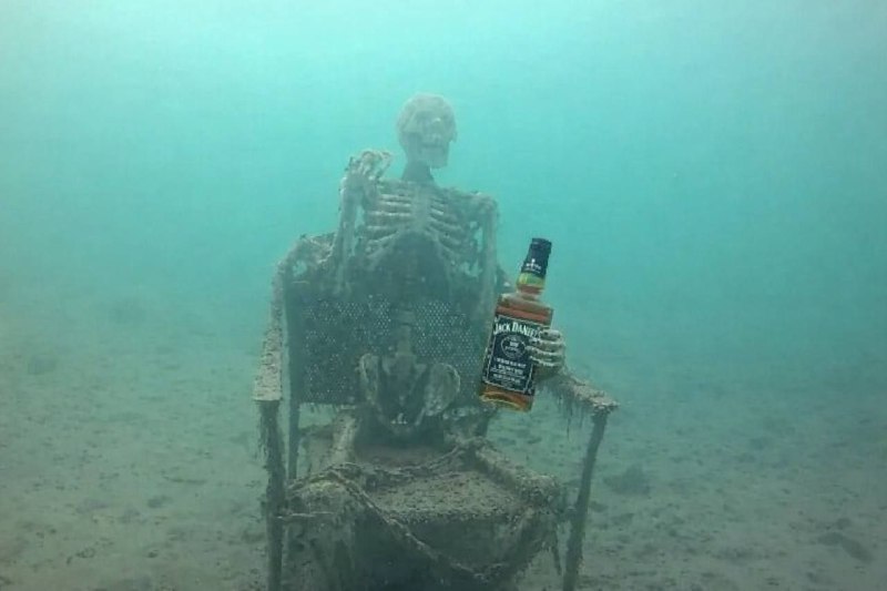 Where is my whisky bottle?