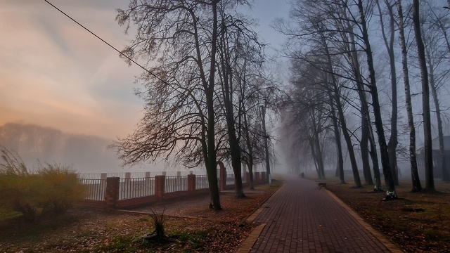 Туманное утро на оз. Пионер... 🤳 (ноябрь'25)