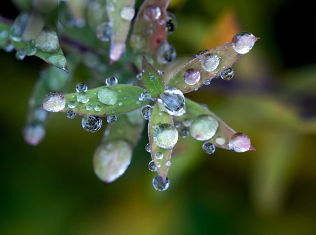 В эти дни стоит унылая, пасмурная погода, небо