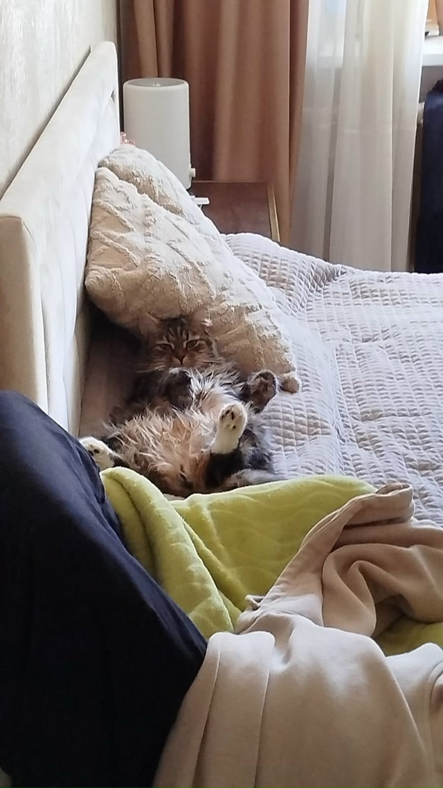 Кот Кокос и утро!