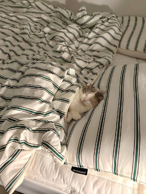 Укрываемся одеялком и споть :3