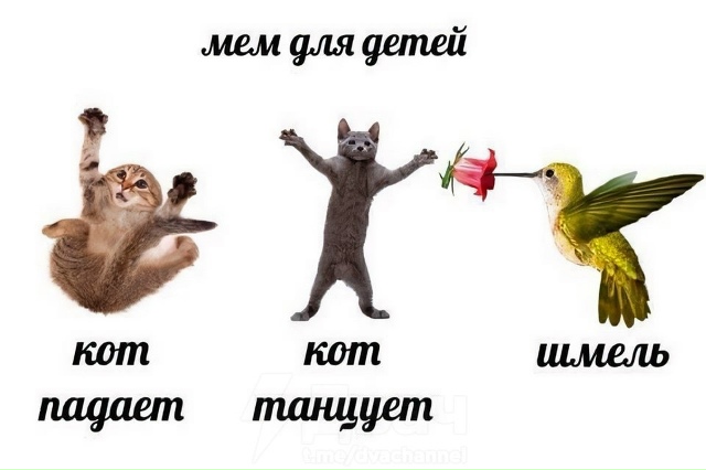 подборочка мемов