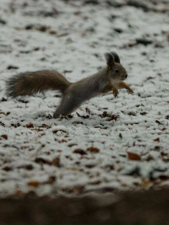 ❄️Заснеженные дворы Екатеринбурга