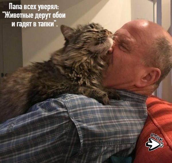 6 брутальных мужчин, которые твёрдо уверены: «Место кот...