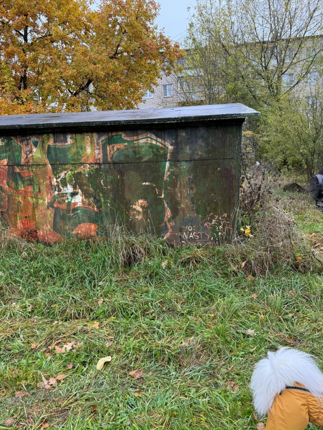 Найдены ключи у торца Ломоносова 24