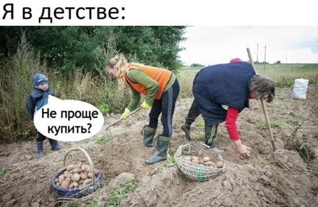 Что за жиза