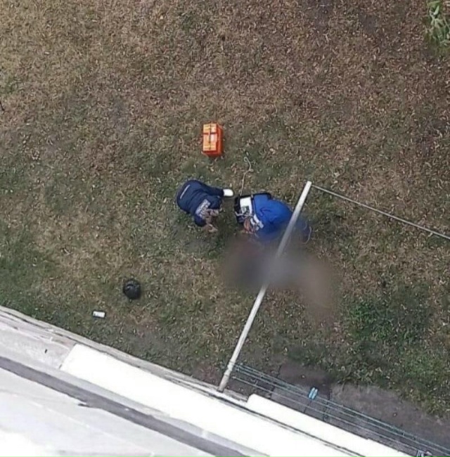 Трагедия у многоэтажки в Ижевске
Жильцы услышали крик...