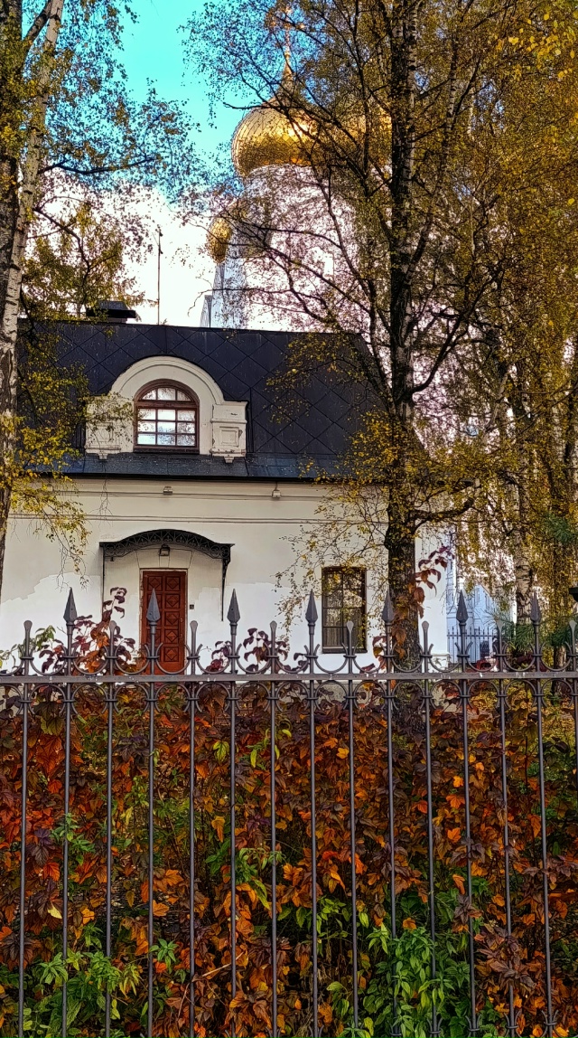 Осенний город❤️