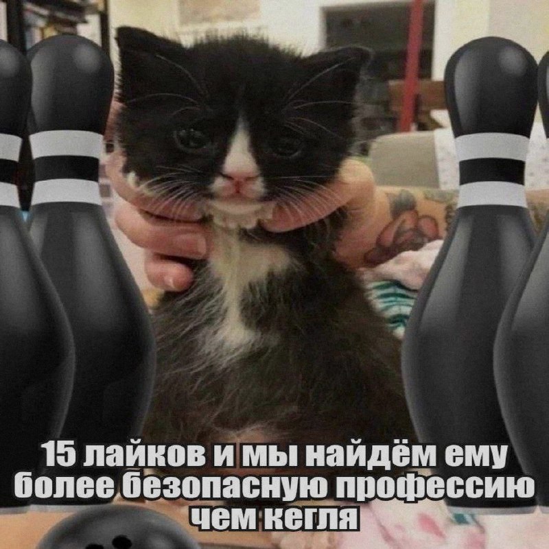 Ночная подборочка
Выходные, не спим