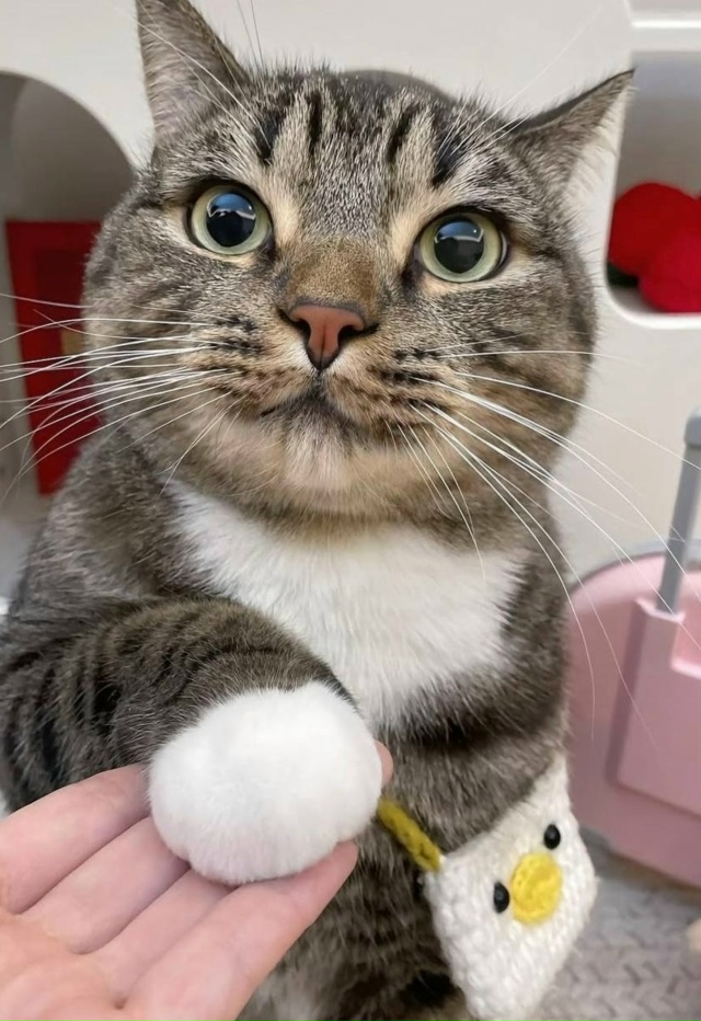 Любой стресс как рукой снимет