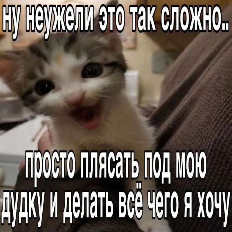 Утренняя подборочка