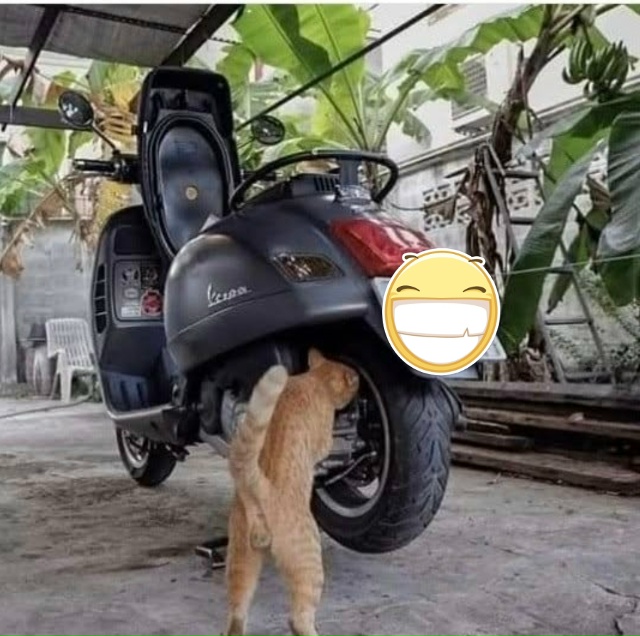 Механик устал)