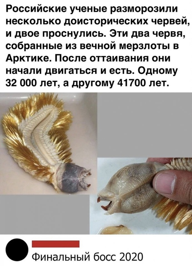 Готовимся к новым приключениям ?