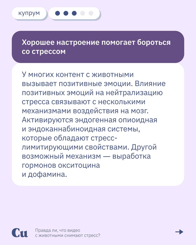 🐶🐱 «Ну какая прелесть! Какой хорошенький!»
А что вам ...