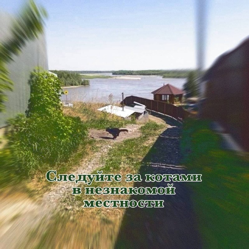 Утренняя подборочка