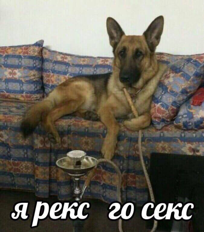 Бри Ван де Камп: пытается спасти отношения с мужем, чтобы сохранить семью
Он на хате у местной проф