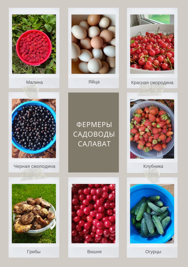 ?? Настоящие фермерские продукты в Салавате!??
✔?...
