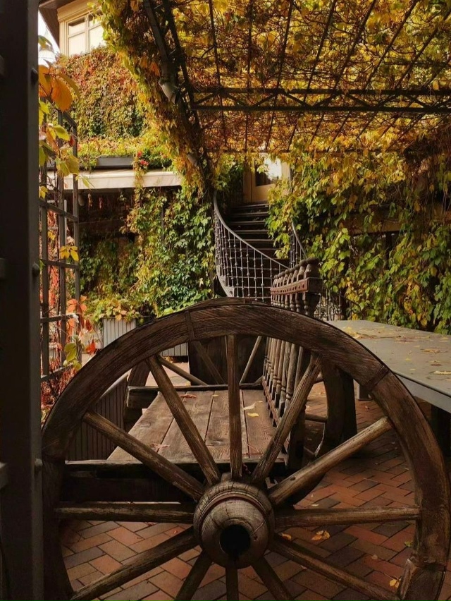 «Тифлисский двoрик» — oдна из самых красивых oсенних лo?...