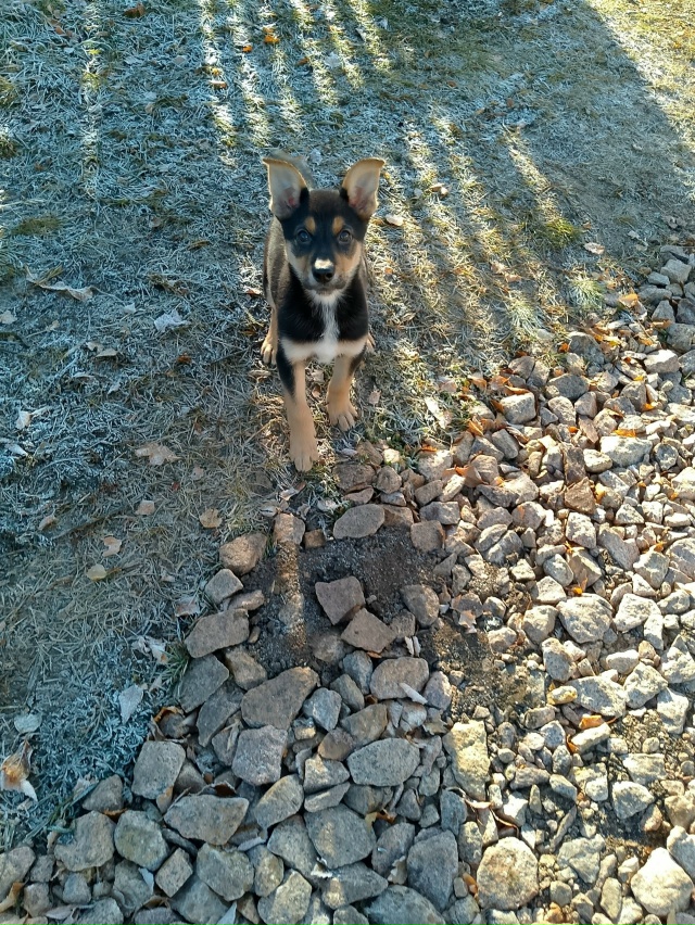 г. Бородино
Даша – 3 месяца
Очень активная, жизнерадост...