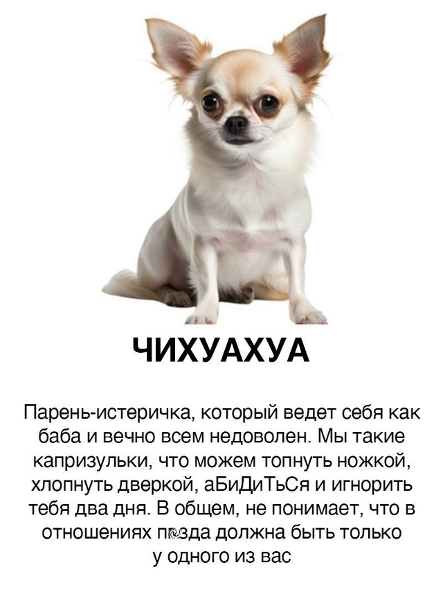 Пересылайте посты друзьям, ставьте реакции - это лучша?...