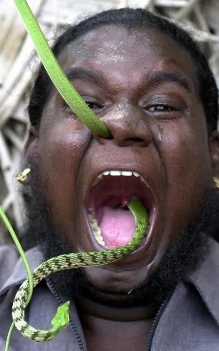 Манохаран Ману по прозвищу «Змея» в попытке попасть в ?...