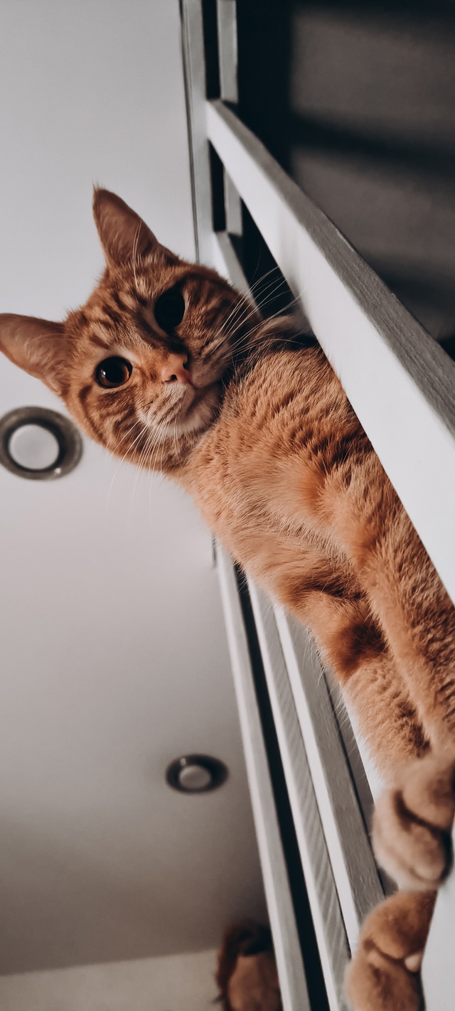 Что по настроению? 🧡
