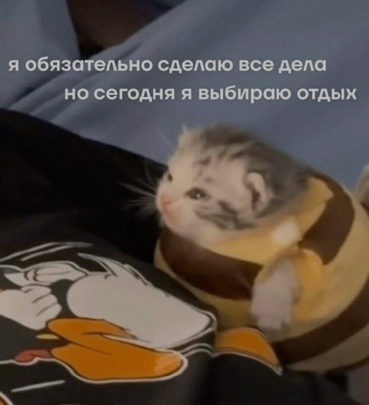 Ночная подборочка
Спать, режим