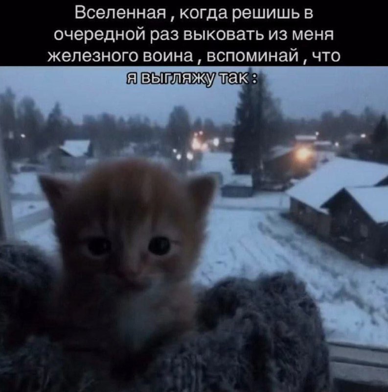 Ночная подборочка
Выходные, не спим