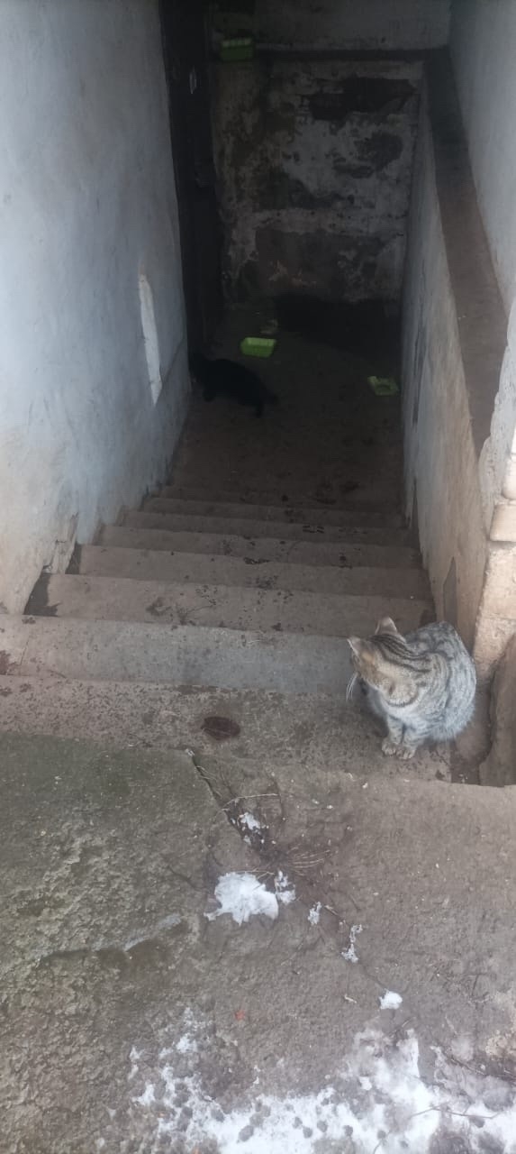 🆘🆘🆘🆘Люди добрые помогите. По адресу Садовая 19 живу...